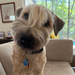 Meet your Posher, Jonah